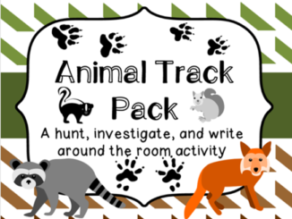 animal track write around the room activity